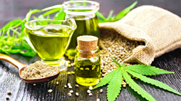 The Next Big Thing in Health Benefits Of Hemp Seed Oil