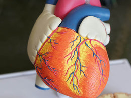 Heart Health Essentials With Dr Ross Walker