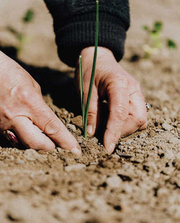 Heal Earth