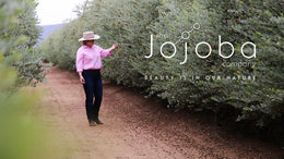 Perfect skin and Jojoba with Vicki Engsall