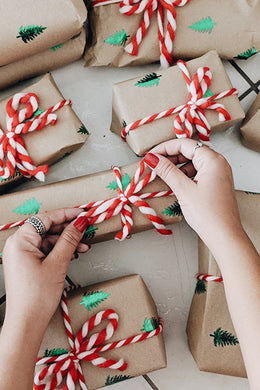 Great Gifts: Go Vita 2020 Christmas Gift Guide