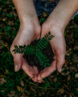 Green Initiative