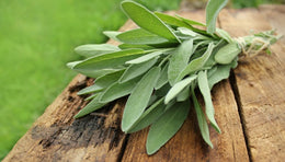 Improving brain function and cognition with sage