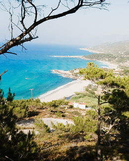 The Greek Island of Great Gut Health