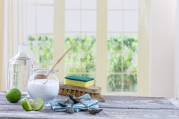 Soft Scrub Natural Cleaner