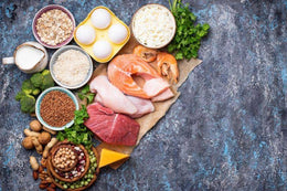 Plant Protein: Why do you need it?