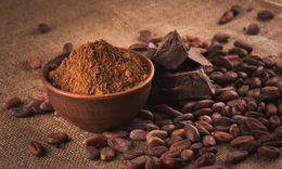 Meet Your New Favourite Wellness Rituals