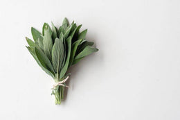 Sage Benefits