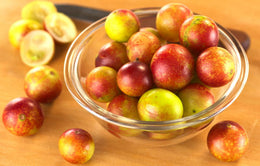 What is camu camu and how can it help you? Discover its benefits