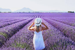 Lovely Lavender