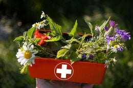 Natural Medicine Cabinet Must Haves