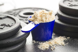 Plant Protein Power