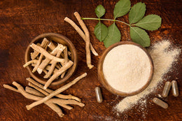 Discover the benefits of Ashwagandha