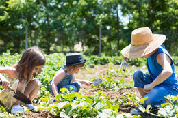 Soil & Self: The Unseen Connection