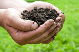 Eating Dirt... its a thing