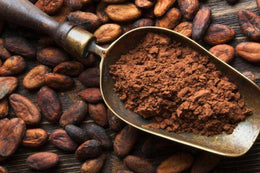 Cacao - Food of the Gods