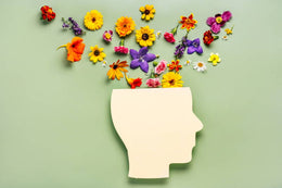 Nootropic Nutrients
